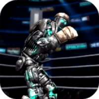 Berplay For Real Steel Trick Fight Robo