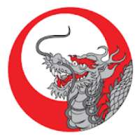 Silver Dragon Kung Fu on 9Apps
