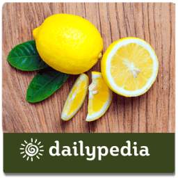 Lime & Lemon Daily