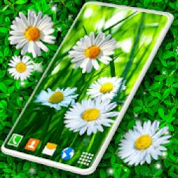 3D Daisy Live Wallpaper * Spring Field Themes