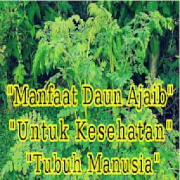 Daun Ajaib Dan Manfaat Untuk Kesehatan