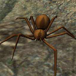 Spider Nest Simulator - insect and 3d animal game