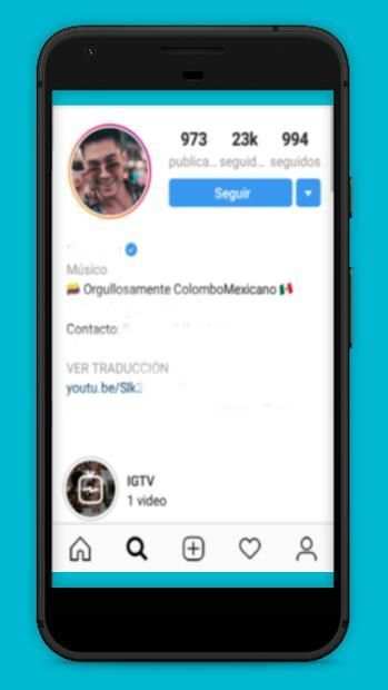 Badge Verification Instagram screenshot 2