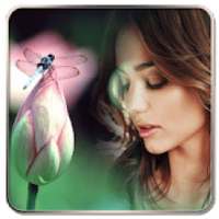 Dragonfly Photo Frames on 9Apps