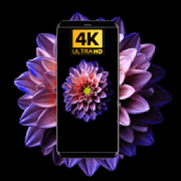 ikon Flower Wallpapers 2020