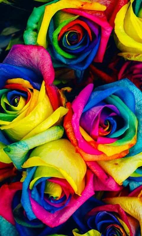Flower Wallpapers 2020 screenshot 8
