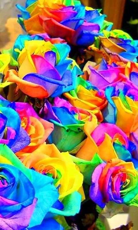 Flower Wallpapers 2020 screenshot 2