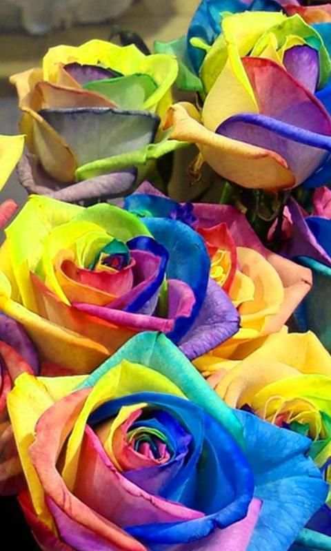 Flower Wallpapers 2020 screenshot 1