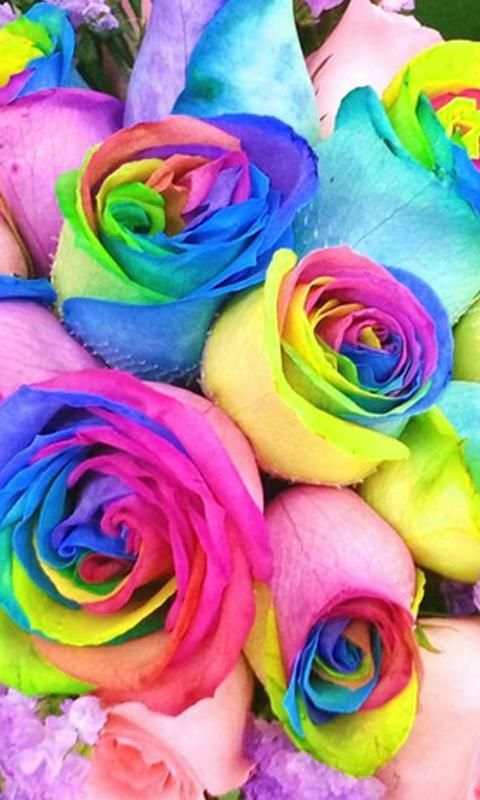 Flower Wallpapers 2020 screenshot 3