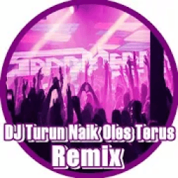 Dj Turun Naik Oles Terus icon
