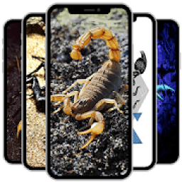 ikon Picture Scorpio Home Screen &amp; Lock