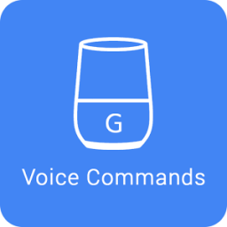 ikon Voice Commands for Google Home