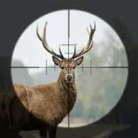 Jungle Safari Hunt - Deer Hunter Games logo
