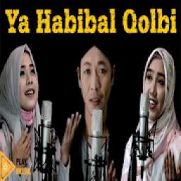 Rijal Vertizone 1.1