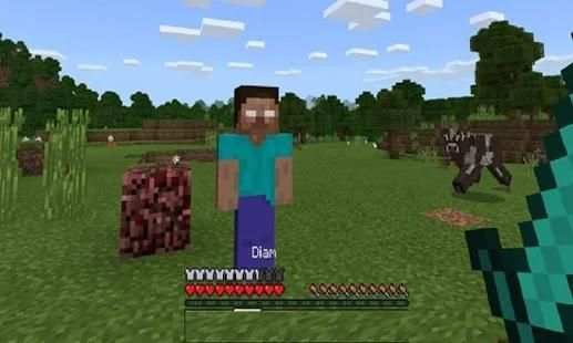 MOD Herobrine Addon screenshot 4