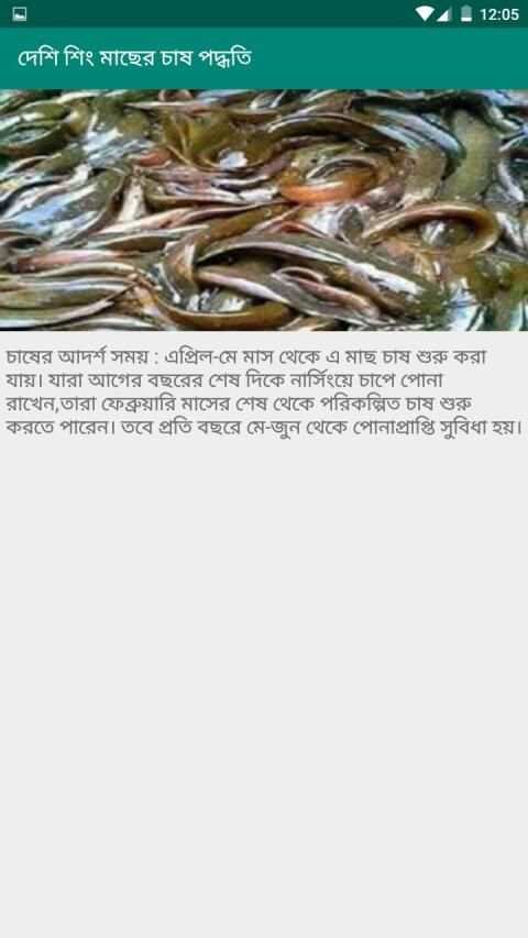 দেশি শিং মাছের চাষ পদ্ধতি скриншот 1