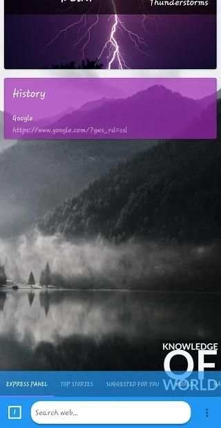 KW browser screenshot 5