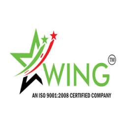 Star Wing 1.0