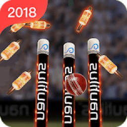 Real Cricket™ 2K18 info आइकन
