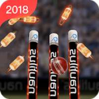 Real Cricket™ 2K18 info