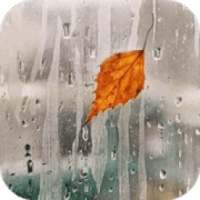 Fondo De Pantalla Lloviendo Gratis on 9Apps