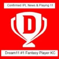 dream11 ipl fantasy cricket, D11 daily news & tips