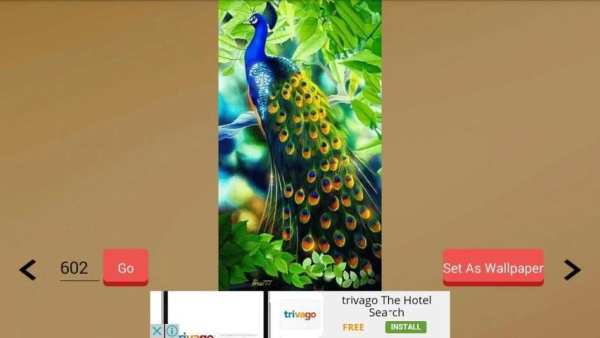 1000+ Birds Wallpapers स्क्रीनशॉट 5