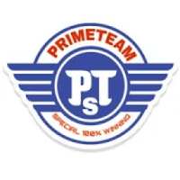 Dream11 prime team special