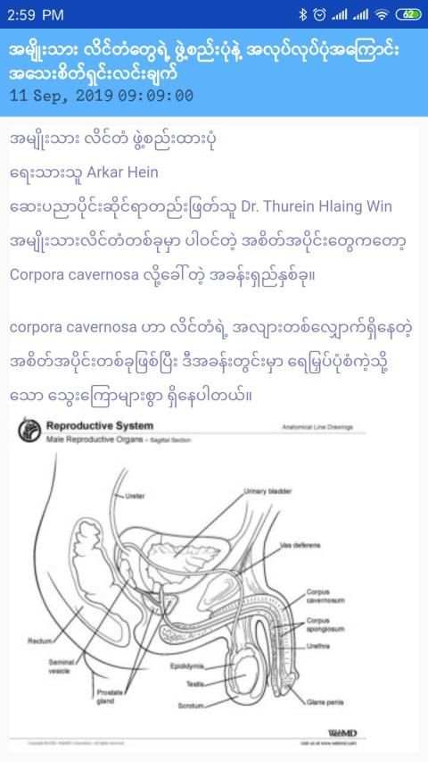 မျိုးဆက်ပွားကျန်းမာရေး screenshot 3