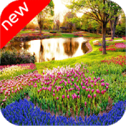 ikon Gardin Wallpaper 2018