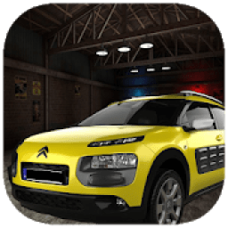 ikon Driving Cars Simulator Citroen