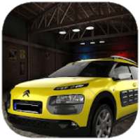 Driving Cars Simulator Citroen