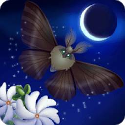 Flutter: Starlight