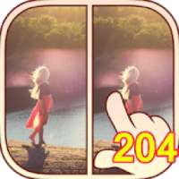 Spot difference 204
