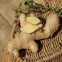 Ginger Root For Health on 9Apps