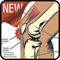 Treat Knee Inflammation