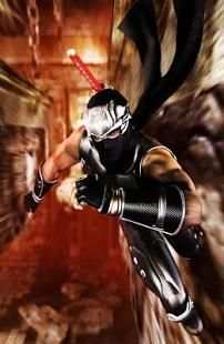 Ninja Gaiden Wallpapers screenshot 8