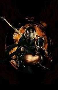Ninja Gaiden Wallpapers screenshot 2