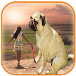 ikon Real Big Camera – Big Effect Photo Editor