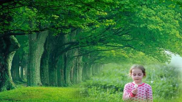 Natural Photo Frame App with Many Photo Effects 1 تصوير الشاشة