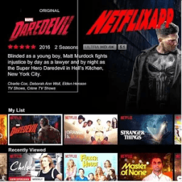 NetflixApp Cuenta Anual icon