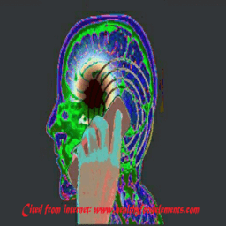 ikon Phone Radiation Alert