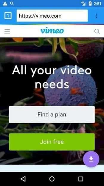 Flash Video Downloader screenshot 2