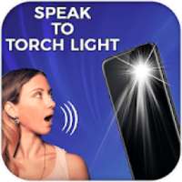 Speak To Torch Light