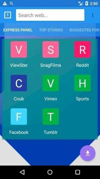 Flash Video Downloader screenshot 1