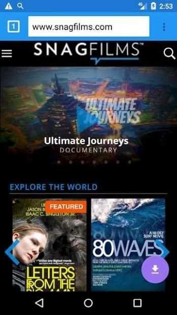 Flash Video Downloader screenshot 3
