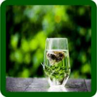 Green Tea Tips - Green Tea Benefits - Green Tea on 9Apps