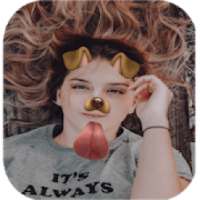 Animal stickers for photos on 9Apps