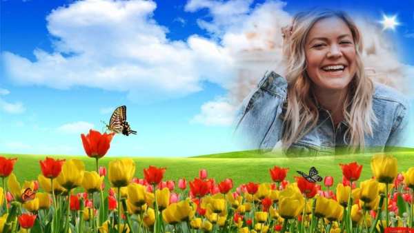 New Photo Frame Nature Editor Application 2020 screenshot 8