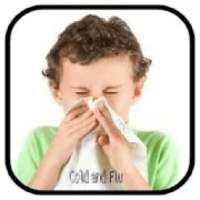 Home Remedies For Cold And Flu